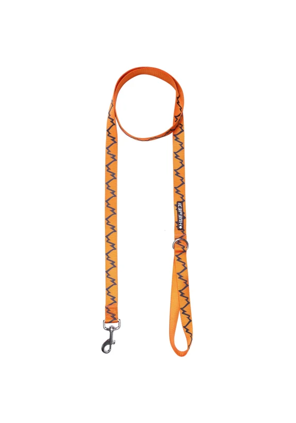 Koiran Talutushihnat>ICEPEAK PET Glows Leash