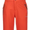 Shortsit>ICEPEAK Konz Jr Korallinpun.